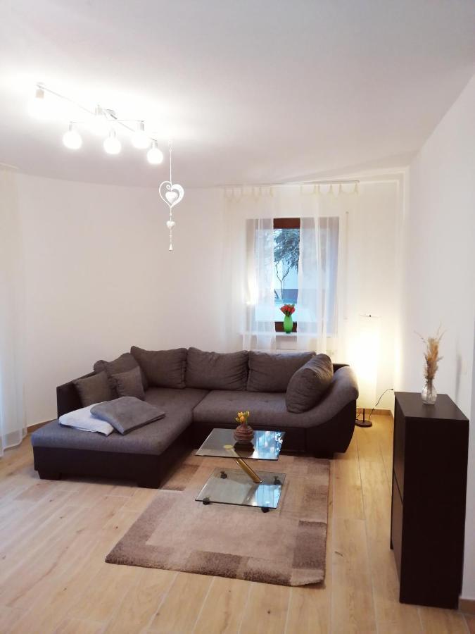 Schoneck Ebenerdige Ferienwohnung Mit Grosser Terrasse In Der Naehe Des Waldes, Zum Wohlfuehlen מראה חיצוני תמונה